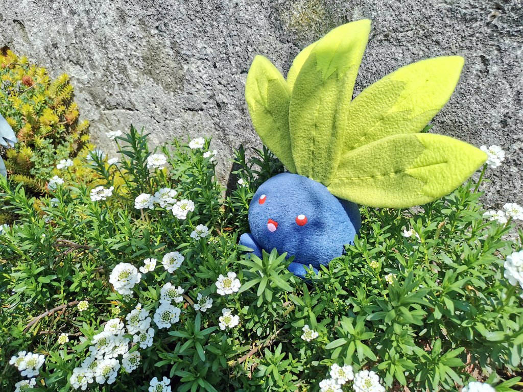 Handmade Pokemon Oddish Plush